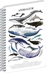 Notique Animalium Under the Sea A5 ruled spiral notebook