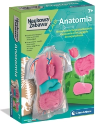 CLEMENTONI Anatomy Educational Set