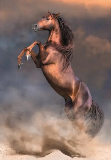 Puzzle Wild Red Stallion 500 Pieces