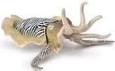 Common cuttlefish figure by Collecta