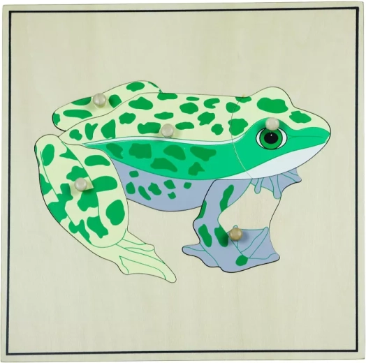 Skeleton Puzzle – Frog