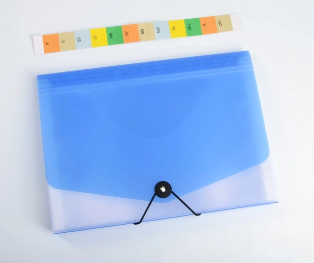 A4 Document Organizer Opaline clear/blue, 13 pockets with elastic closure