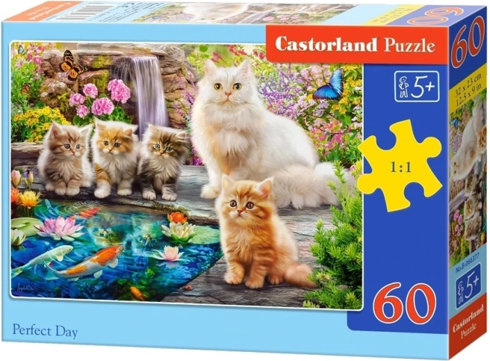 Пъзел Castorland „Перфектен ден“ 60 части