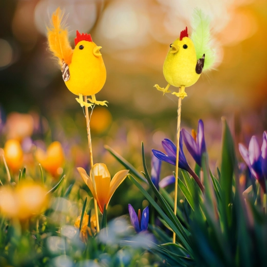 Easter Rooster Pick - 1 Piece