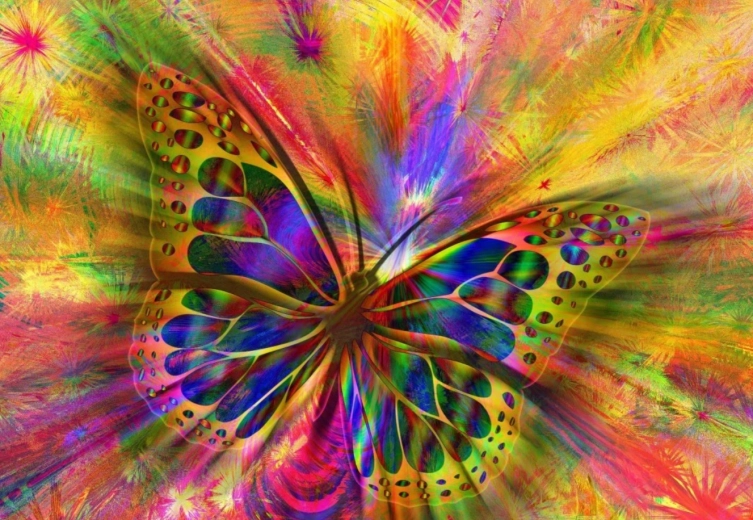 Puzzle Colorful Butterfly 1000 Pieces