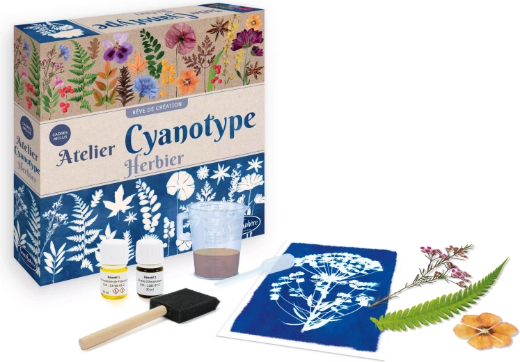 Sentosphere cyanotype – herbarium workshop