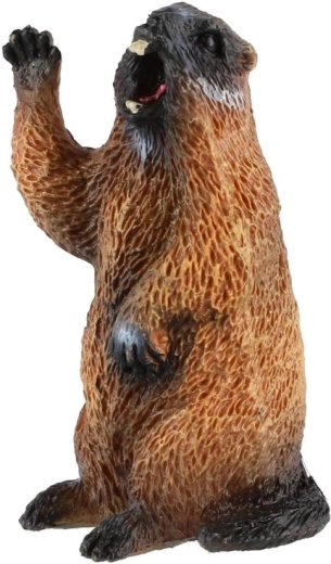 Realistic marmot design
