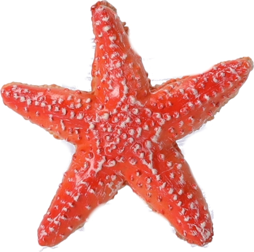 Collectible Figure Starfish, Papo