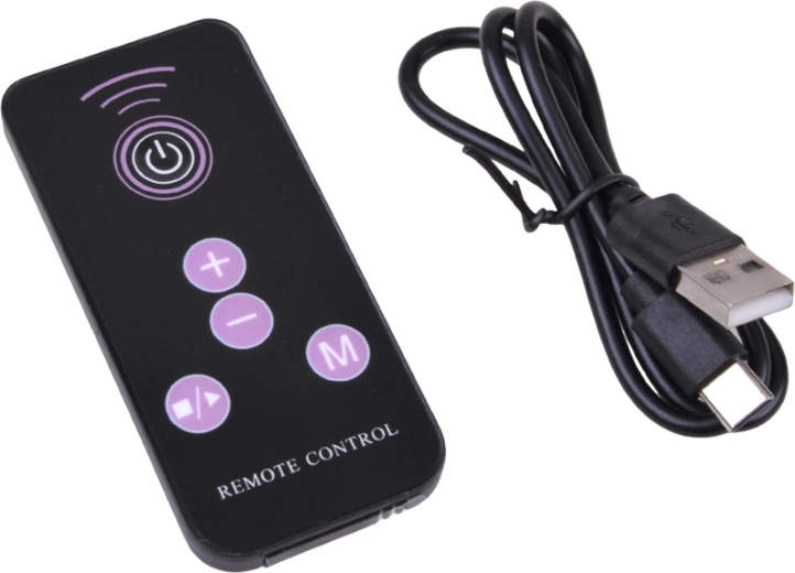 10 speed levels controlled remotely