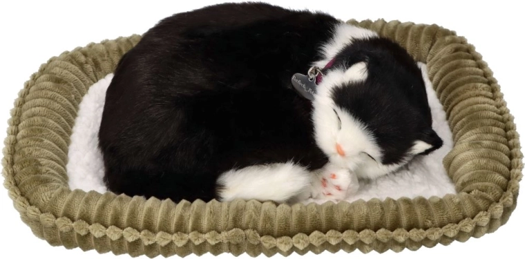 Interactive Breathing Black-and-White Kitten