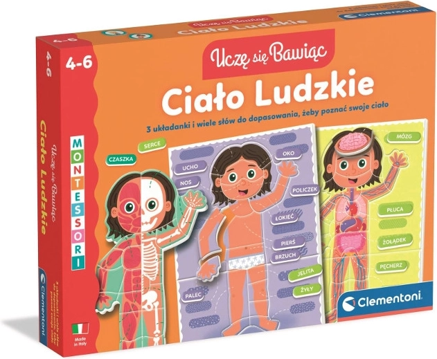 Human Body – Educational Puzzle for Children Aged 4–6