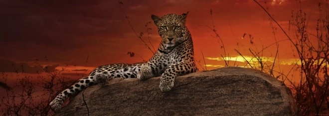 Panoramic Puzzle Dawn in Kenya 2000 Pieces