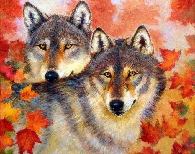 Norimpex Paint by Numbers Wolf and She-Wolf 40 × 50 cm