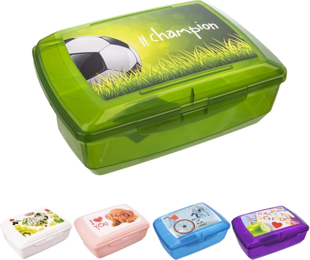 BranQ lunch box with clip 20.5 × 13.5 × 7.5 cm (mixed designs)