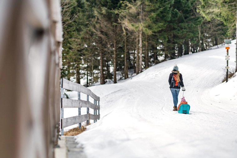 Лесно теглене по снега
