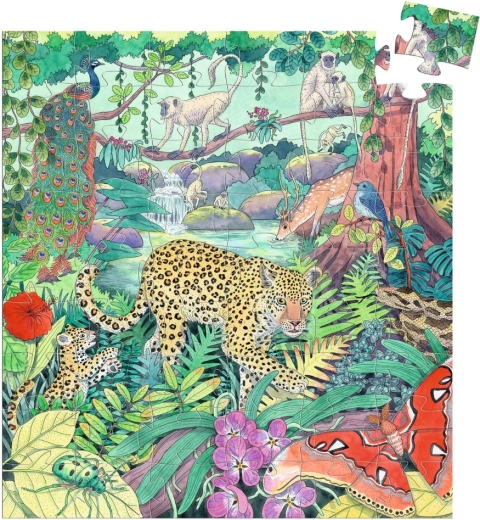 Adventurous Indian jungle theme