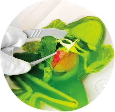 Detailed examination with tweezers and a magnifying glass