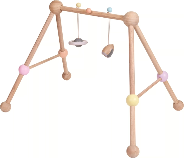 Baby Play Gym PlanLifestyle PlanToys