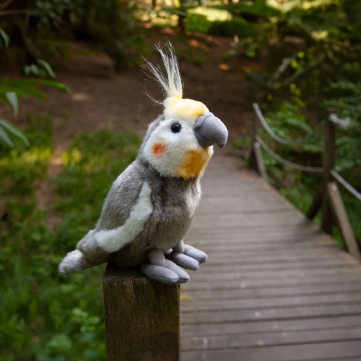 Безопасен избор за най-малките