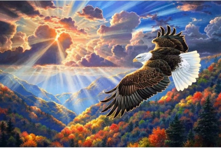 Diamond mosaic (diamond painting) Eagle in the Sky 40 × 30 cm