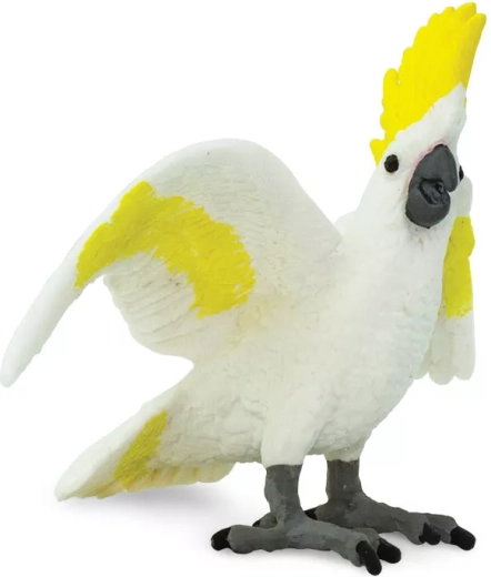Realistic cockatoo details