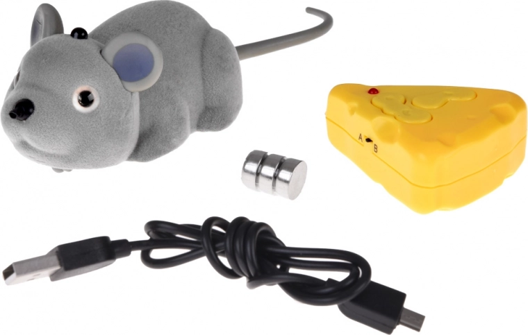 Cheese-shaped remote control