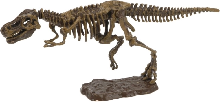 Archaeological Set 3D Tyrannosaurus