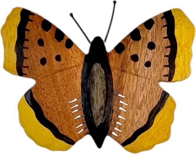 Wooden Magnet Butterfly Large 2Kids Toys
