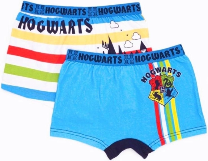 Harry Potter men's boxer shorts duopack