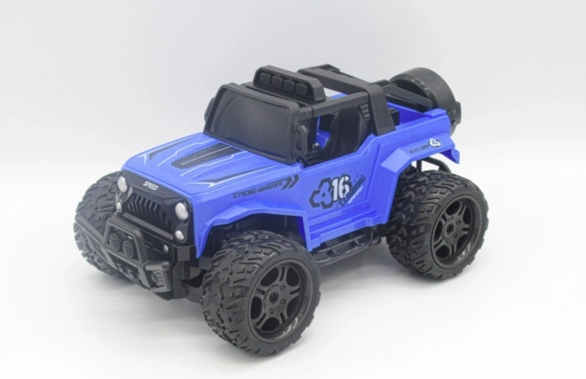 Auto 1:16 RC