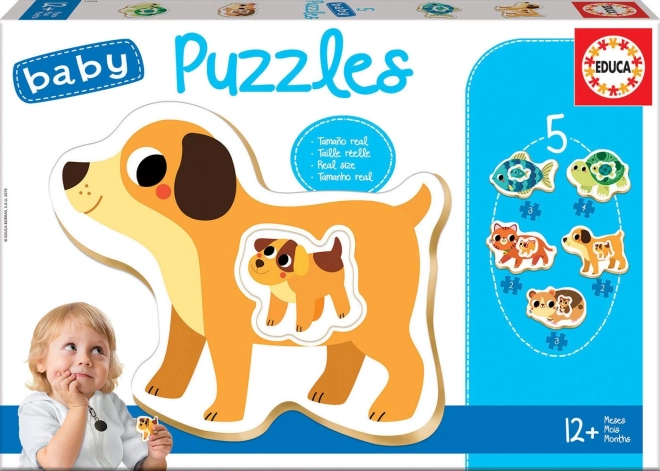 Educa Baby puzzle pets with young 5 in 1