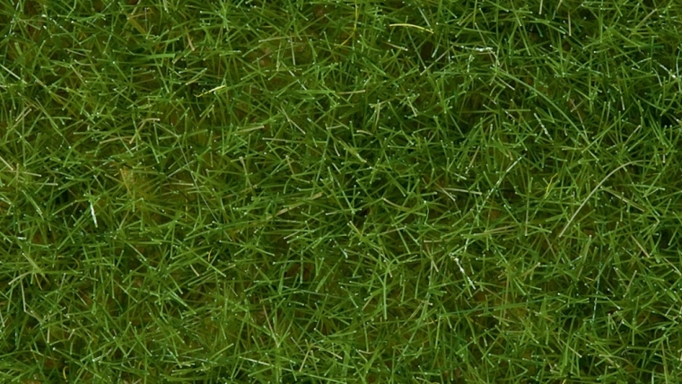 Static Grass Wild Light Green 6 mm Noch
