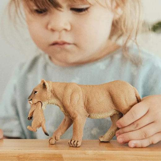 Ideal for play, learning, and collecting