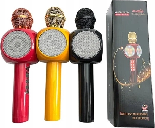 Karaoke microphone
