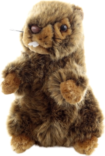 Eco-friendly изработка