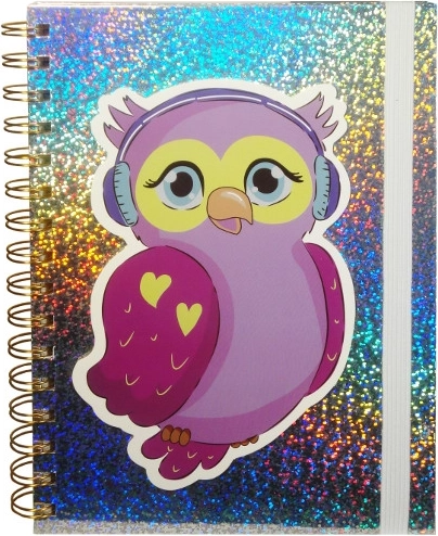 Holographic diary with owl and elastic band