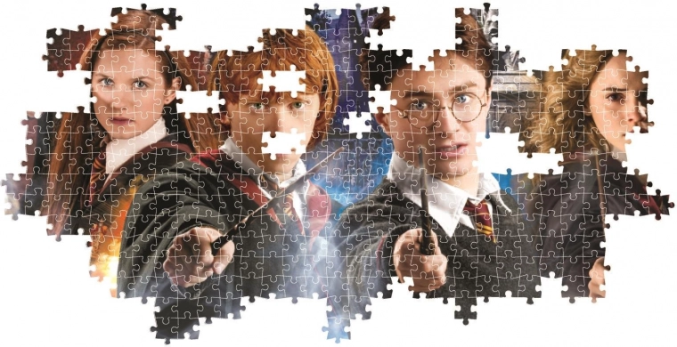 Harry Potter wizarding theme