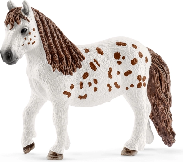 Shetland pony Spotty with refined details