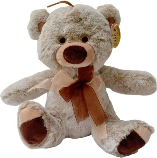 Brown plush teddy bear with accessories