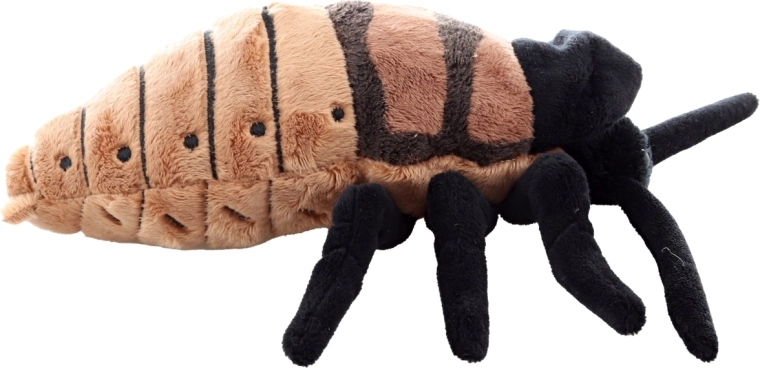 Реалистичен дизайн с детайлна изработка