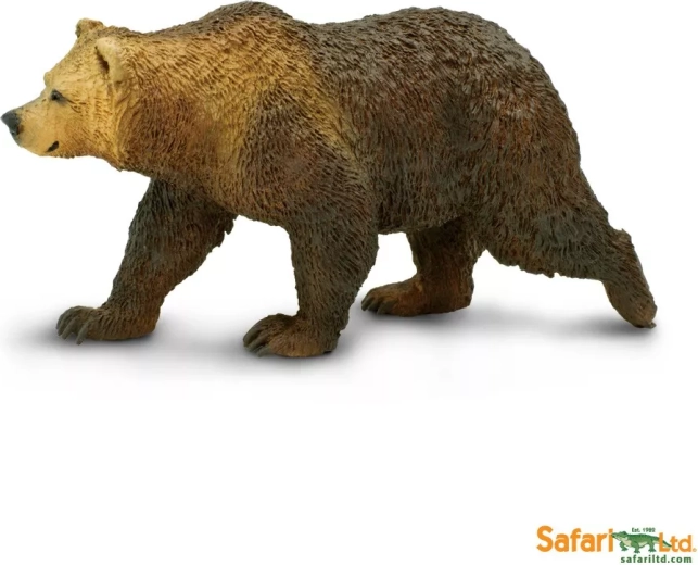 Grizzly bear
