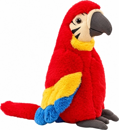 Colorful macaw parrot design