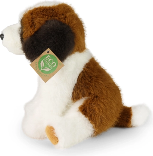 Realistic Saint Bernard appearance