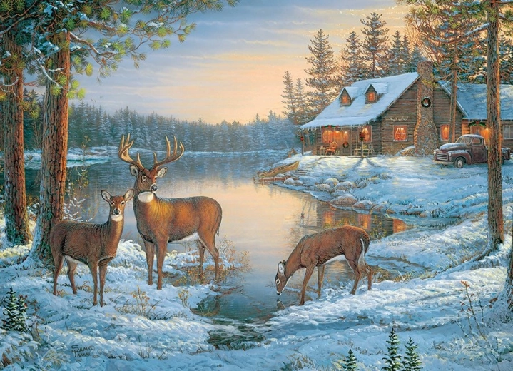 Puzzle Quiet Place 1000 pieces from COBBLE HILL