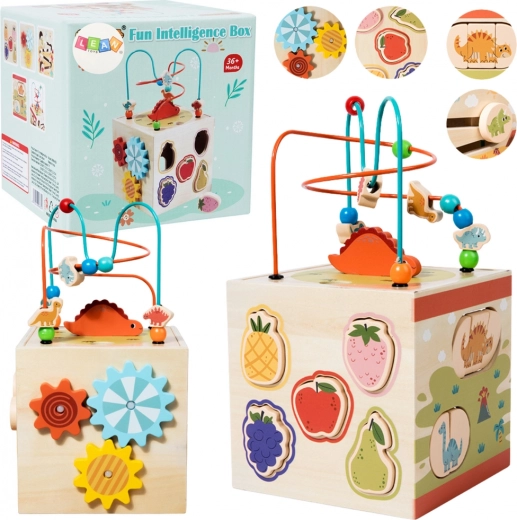 Wooden Sensory Educational Montessori Cube
