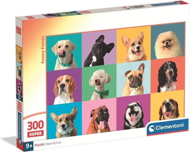 Funny Faces Puzzle