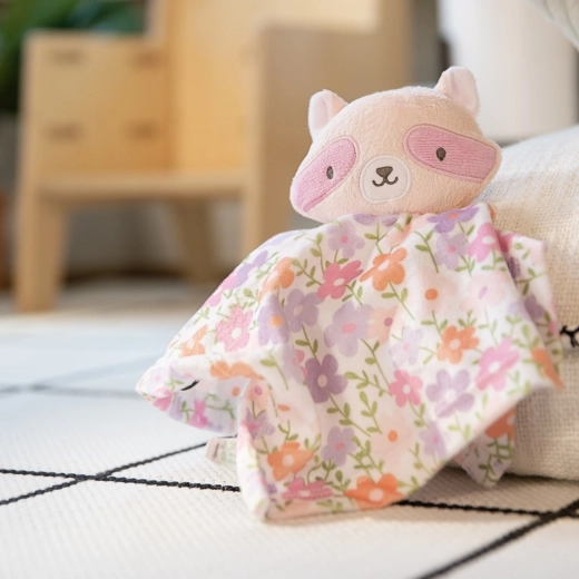 Adorable design with Deni the raccoon