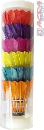 KUBIsport feather badminton shuttlecocks, two-tone, 6 pcs in a tube