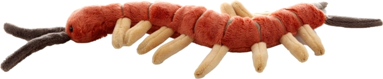 Идеален размер за у дома и за път