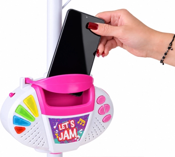Phone holder and audio input